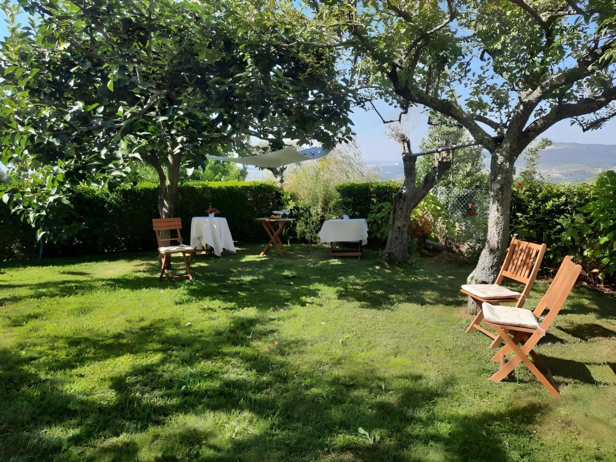Casa Dos Bisavos- Slow Down Na Rota Do Romanico Holiday home